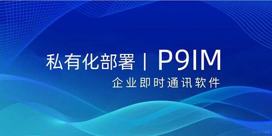 P9IM即时通讯支持内网私有化部署